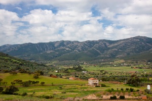 ZEPA Sierras De Peñalsordo Y Capilla