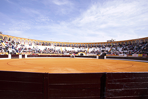 B_FERIA-DE-OLIVENZA_07