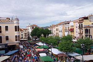 Martes Mayor de Plasencia