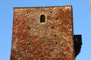 B_CASCO_ANTIGUO_CACERES_09