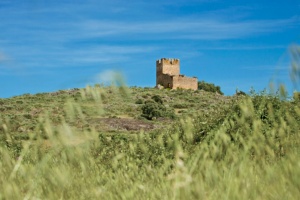 Castillo de Torrecilla de Lagartera