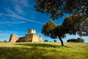 Castillo del Cachorro